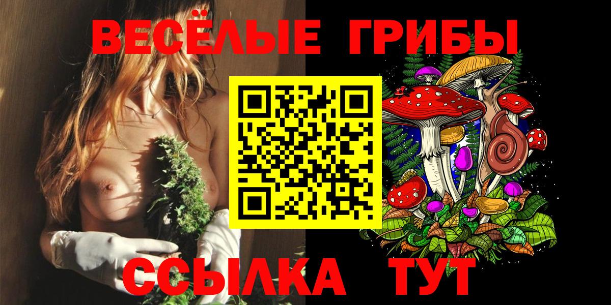 Псилоцибиновые грибы ЛСД  Галлюциногенные грибы Magic Shrooms  Курчатов  Вход с VPN 