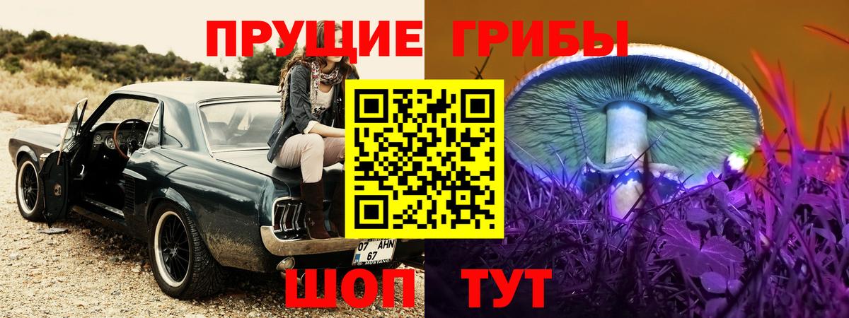 Галлюциногенные грибы GOLDEN TEACHER Курчатов